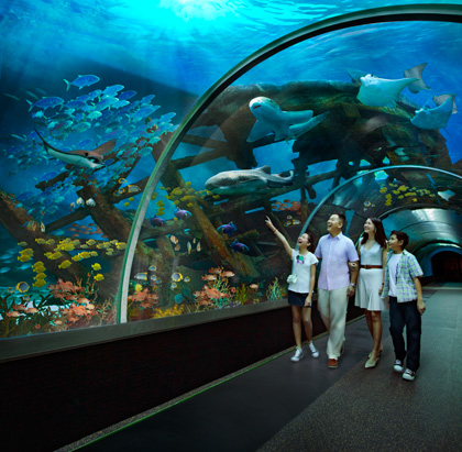 ��ͧ�š����طáѺ S.E.A. Aquarium @ Singapore 